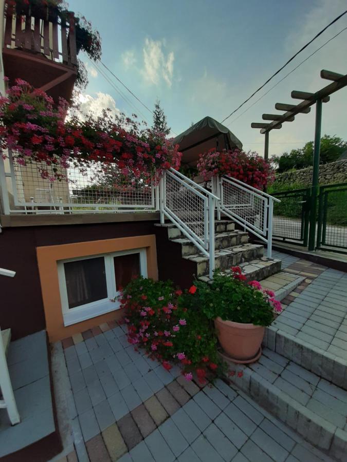 Bed and Breakfast Rozsakert Vendeghaz Szigliget Exteriér fotografie