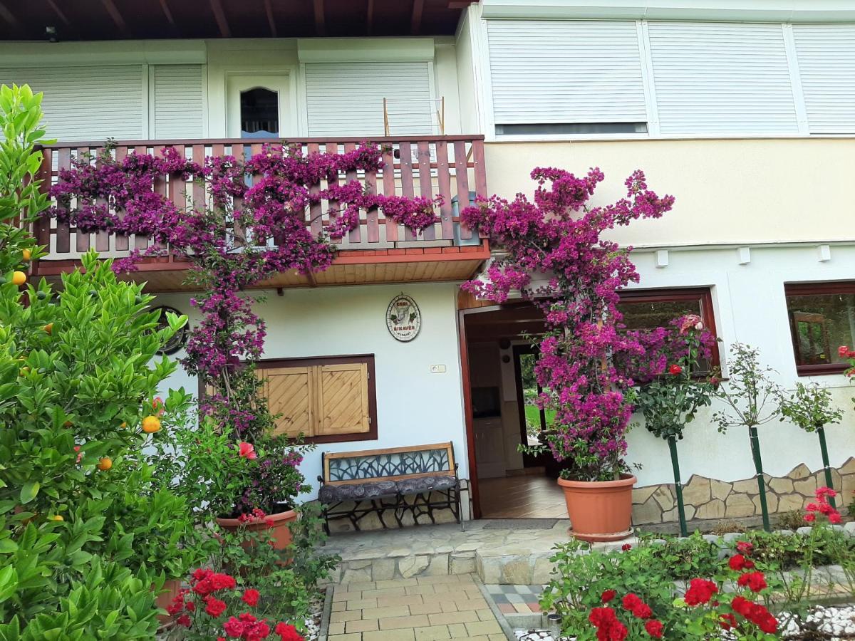 Bed and Breakfast Rozsakert Vendeghaz Szigliget Exteriér fotografie
